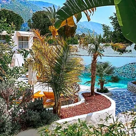 Hotel Salonika Cedit
